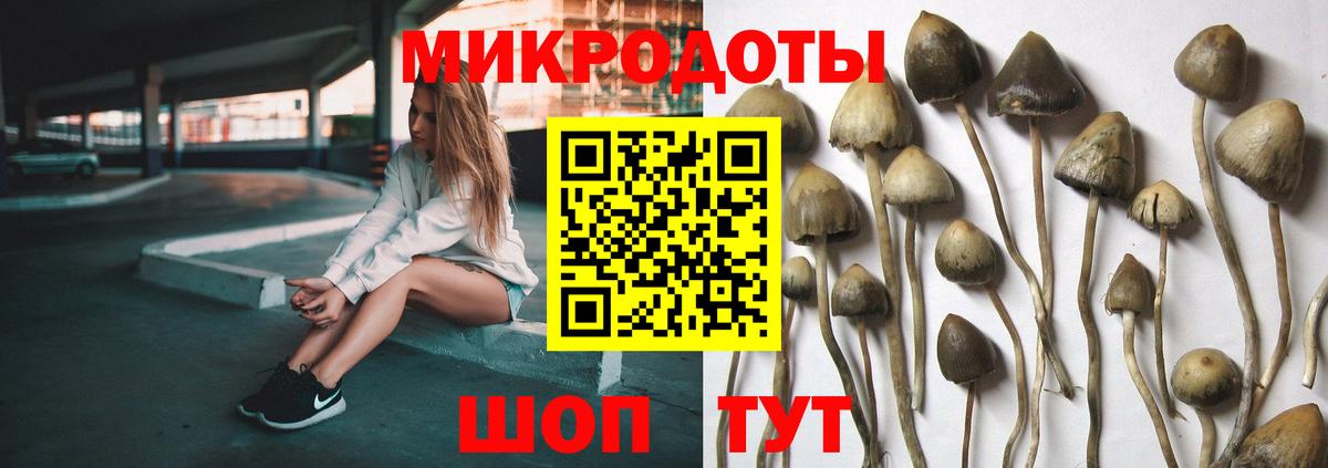 Псилоцибиновые грибы ЛСД  Вход с VPN  Сосновый Бор 
