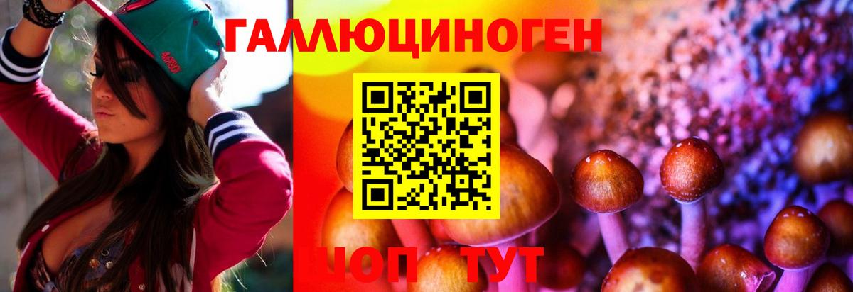 Галлюциногенные грибы мицелий Сосновый Бор