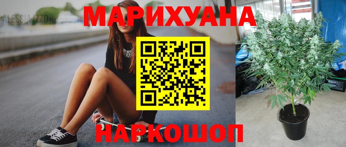 Каннабис SATIVA & INDICA Сосновый Бор